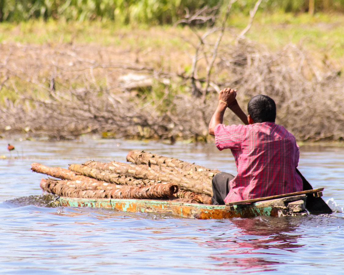 Local man uses a raft to transport logs on the New River in Belize.