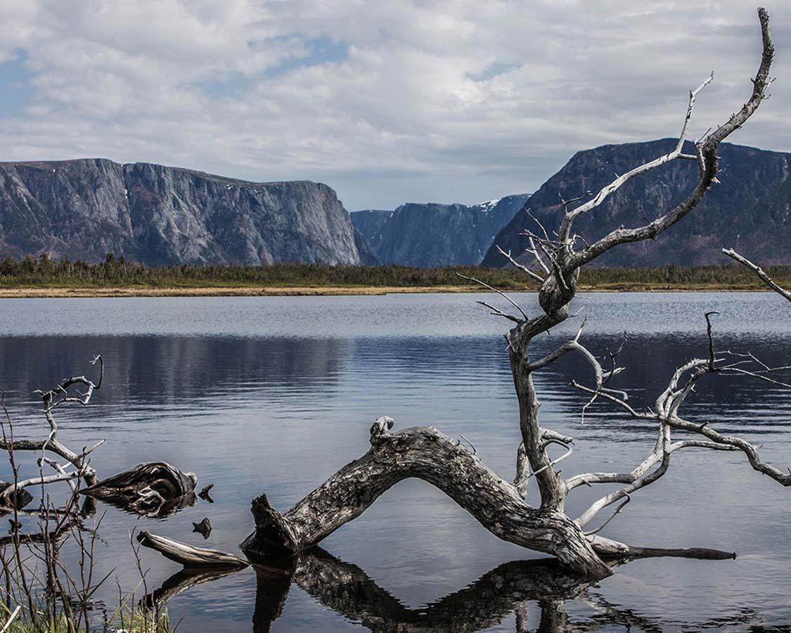How to experience Western Brook Pond in Newfoundland with kids