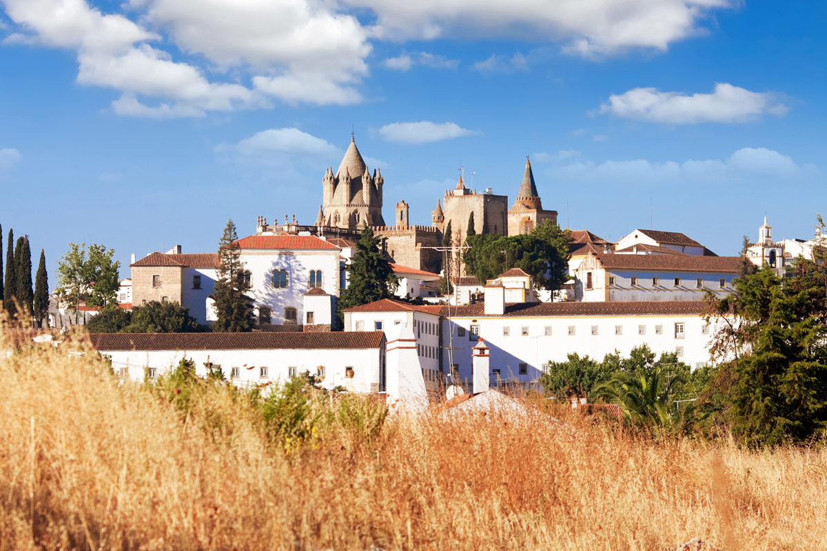 The town of Evora, Portugal seen through a grassy field