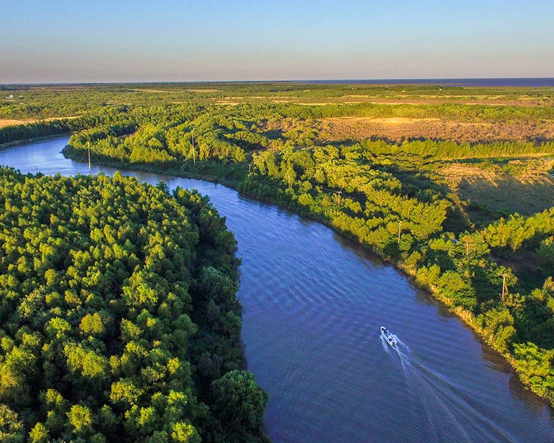 Overhead shot of the delta Parana in Tigre, Argentina