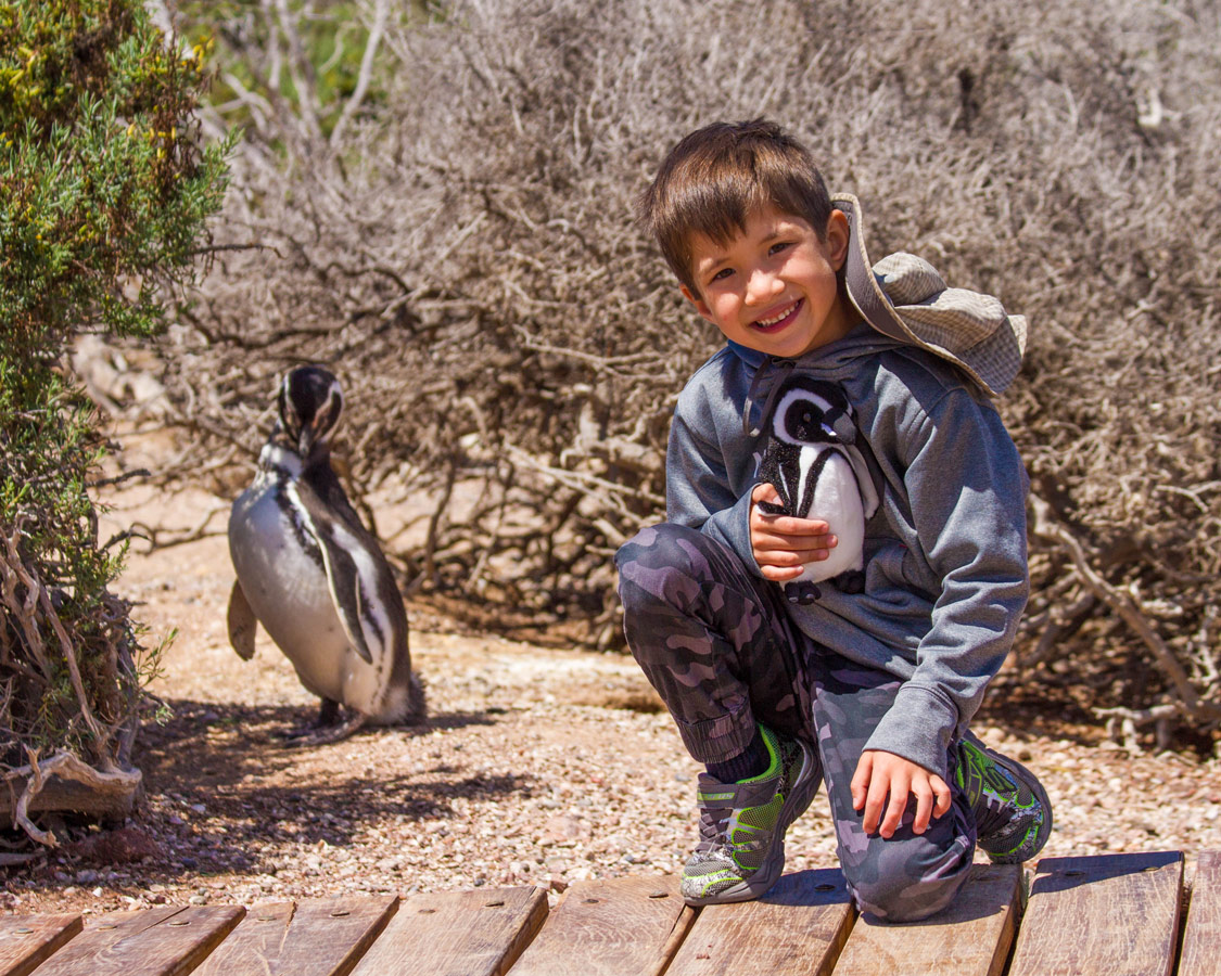 A young boy poses for a photo with a wild penguin in Punta Tombo in Patagonia, Argentina
