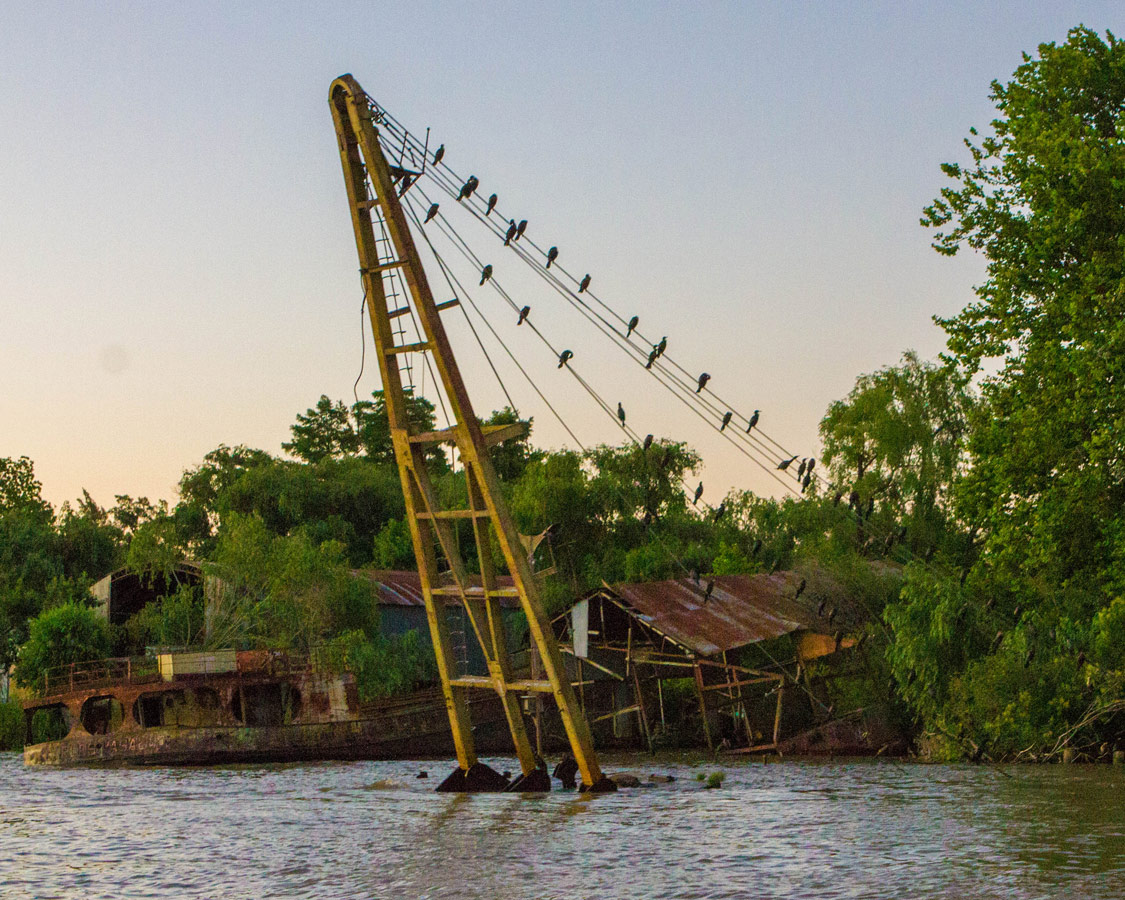 Cormorants rest on the lines of a shipyard on the delta Parana in Tigre