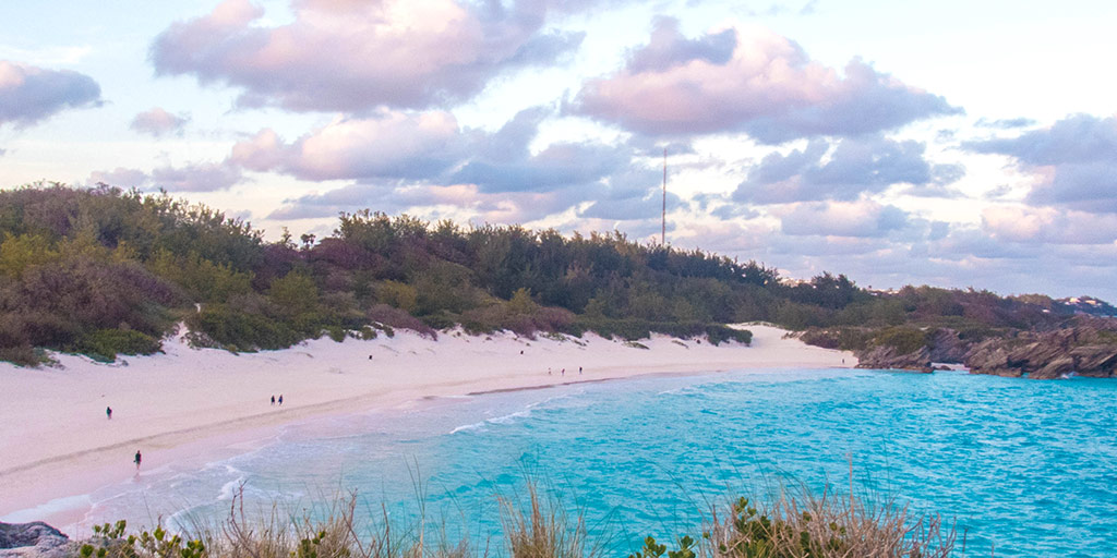 Pink sand and turquoise water of Horseshoe Bay Beach in Bermuda