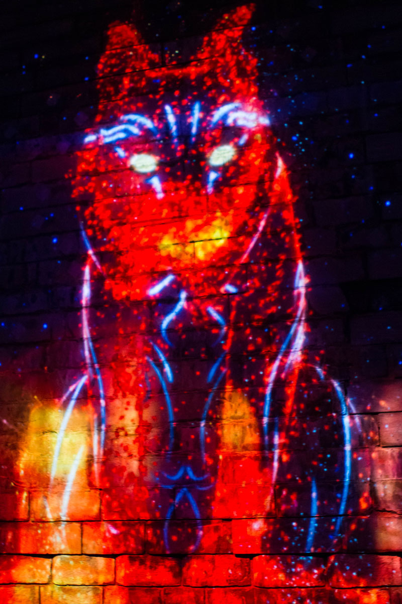 Illuminated image of a bobcat at Lumina Borealis Kingston