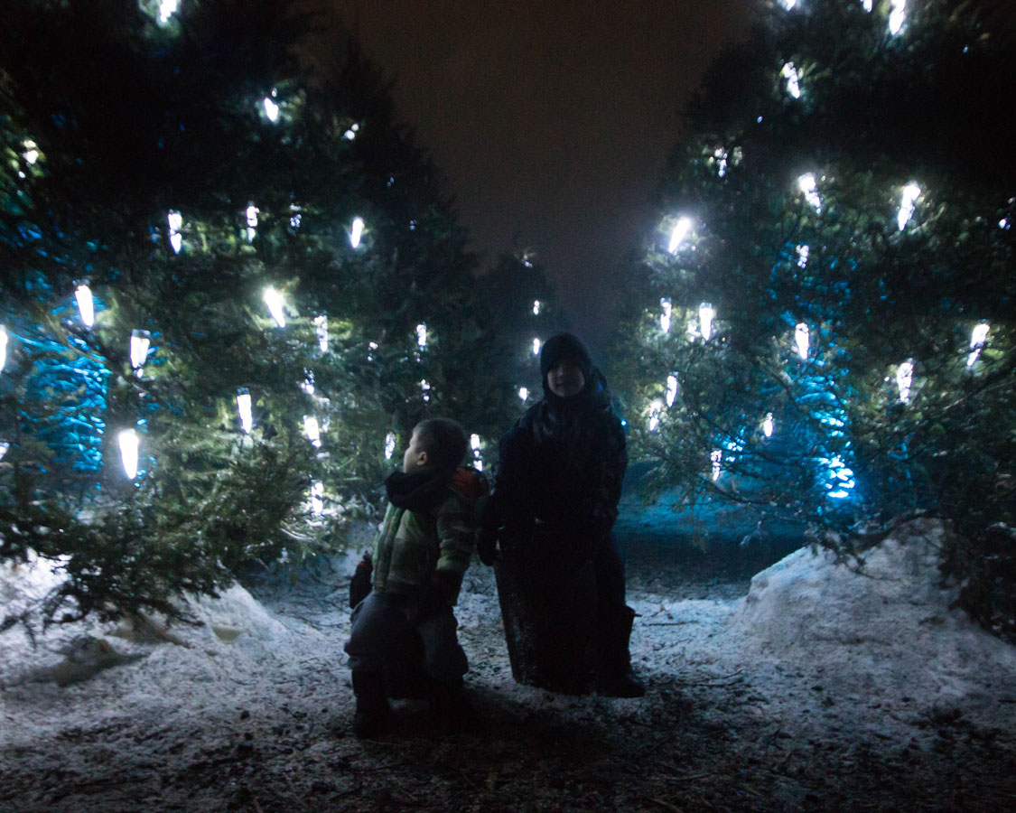 Pine trees with lights that look like icicles and two boys during Lumina Borealis Kingston
