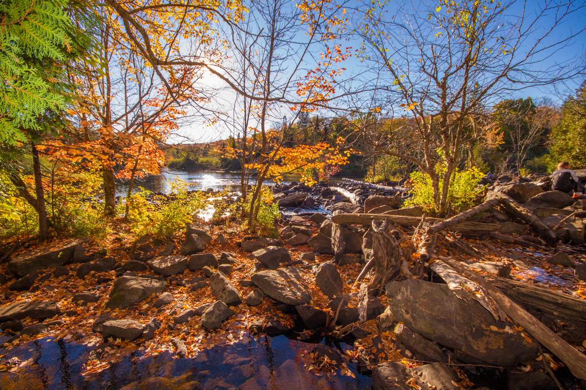 Colorful leaves reflect in pools along Ragged River in the Muskoka region of Ontario