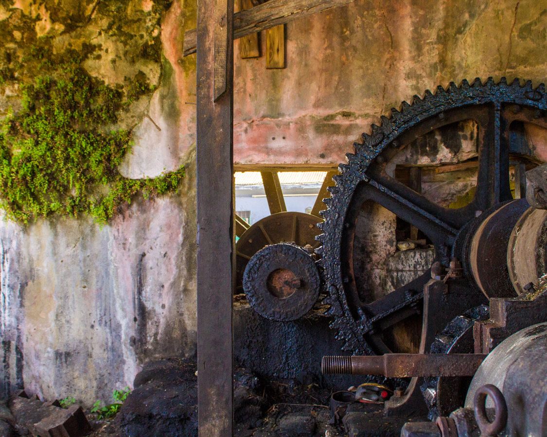 large cog wheels linked together against a mossy adobe wall at the River Antoine Rum Distillery in Grenada