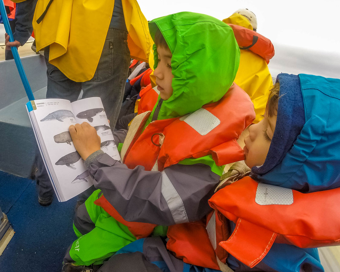 Boys look at whales pictured in a book while on a boat.