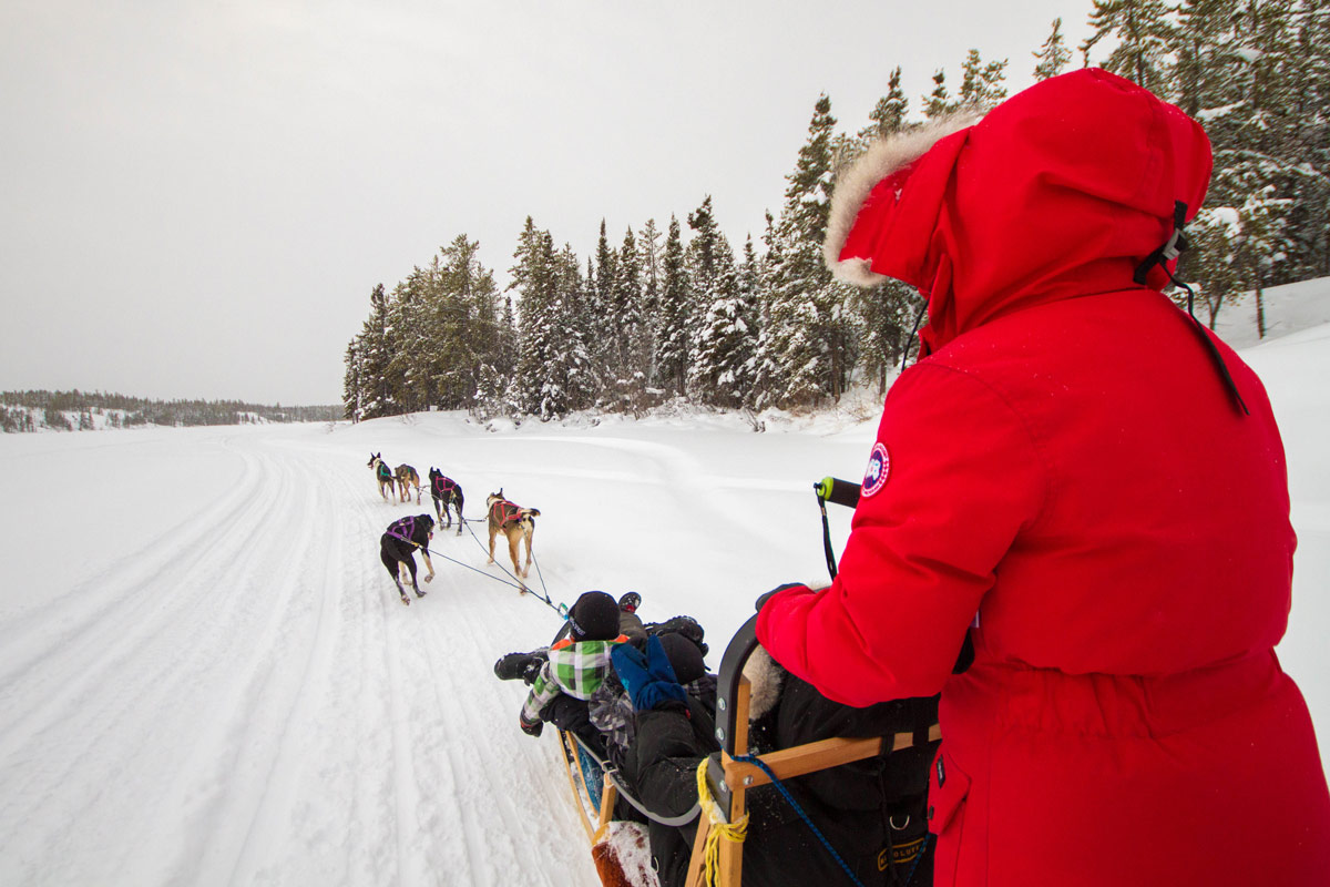 Family dog sledding on frozen lake is one of our top winter activities to do in Yellowknife with kids.