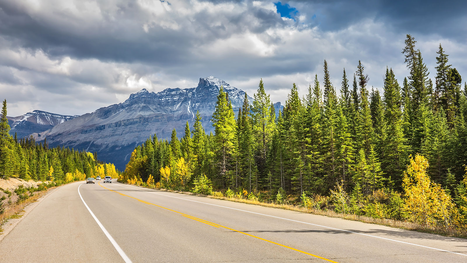 Canadian highway through a forest with Rocky mountains in the background