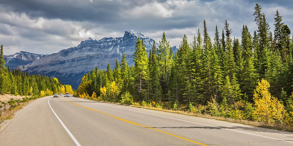 Canadian highway through a forest with Rocky mountains in the background