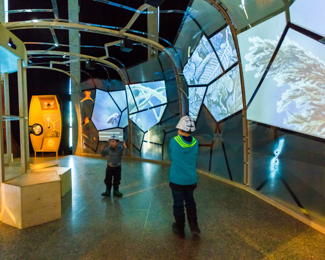 Two young boys walk through a tunnel of screen at the Ontario Science Centre Bio Mechanics Exhibit