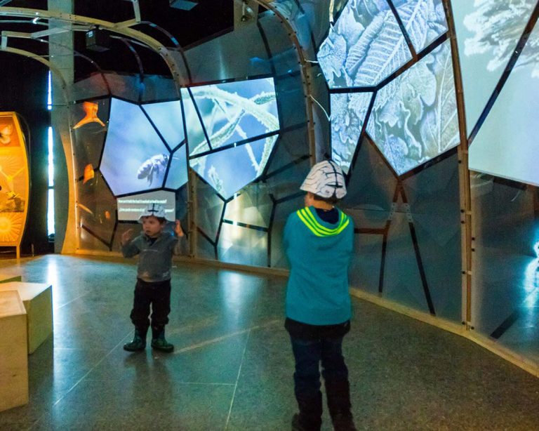 Getting Bio Mechanical at the Ontario Science Centre with Kids Adventure Family Travel