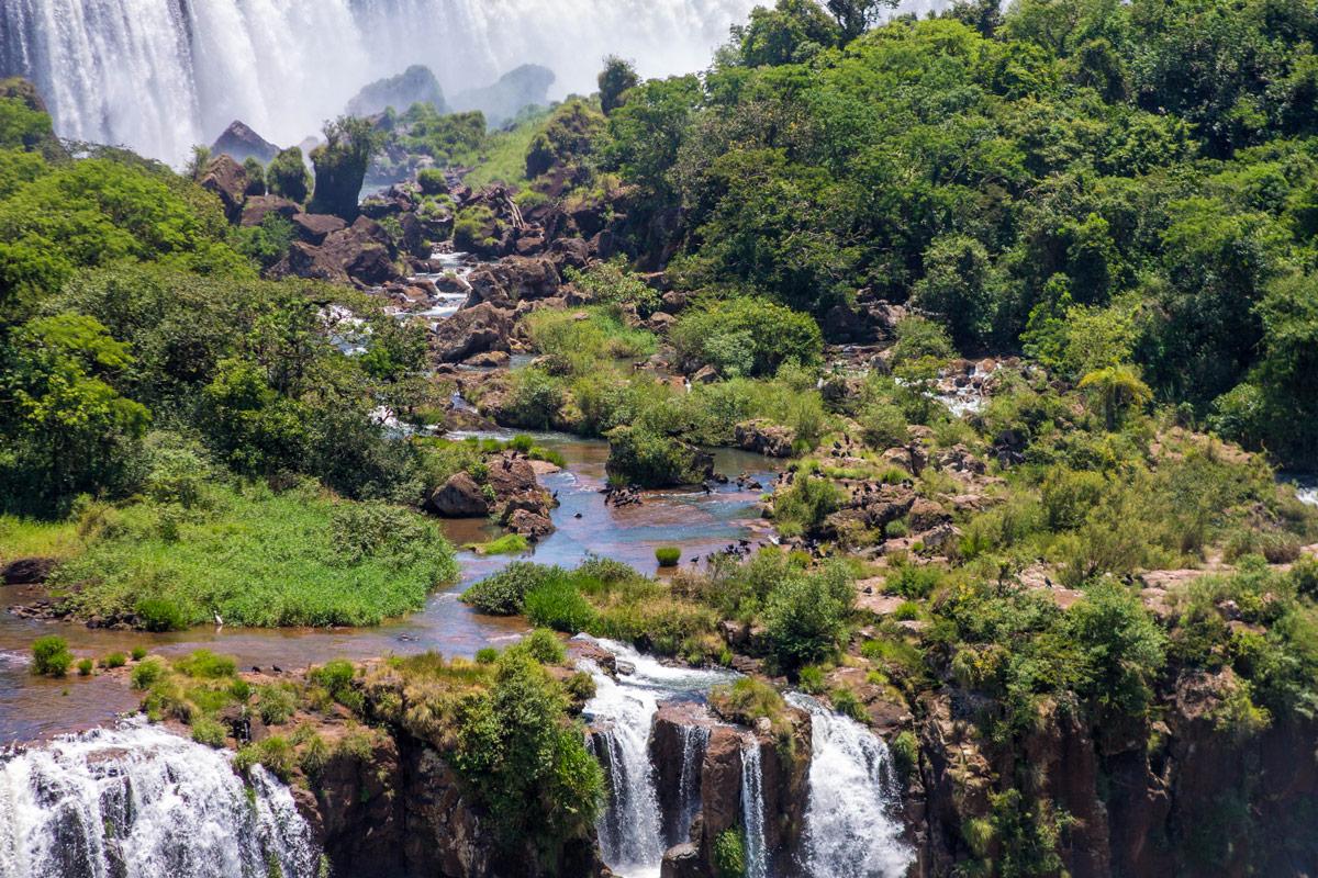 San Martin Island as seen from Iguazu Falls Brazil is teeming with bird life.