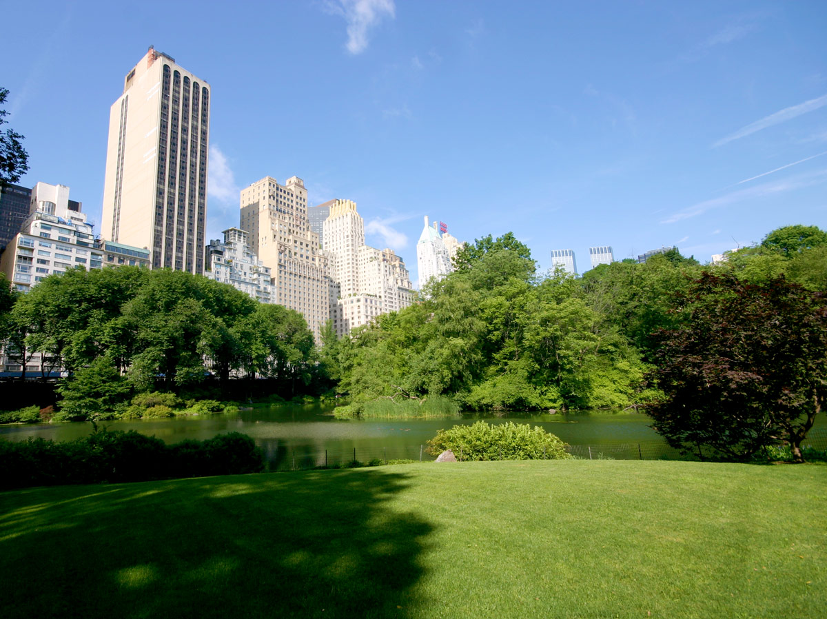 View of Central Park showing the pond and the surrounding skycrappers of New York City.