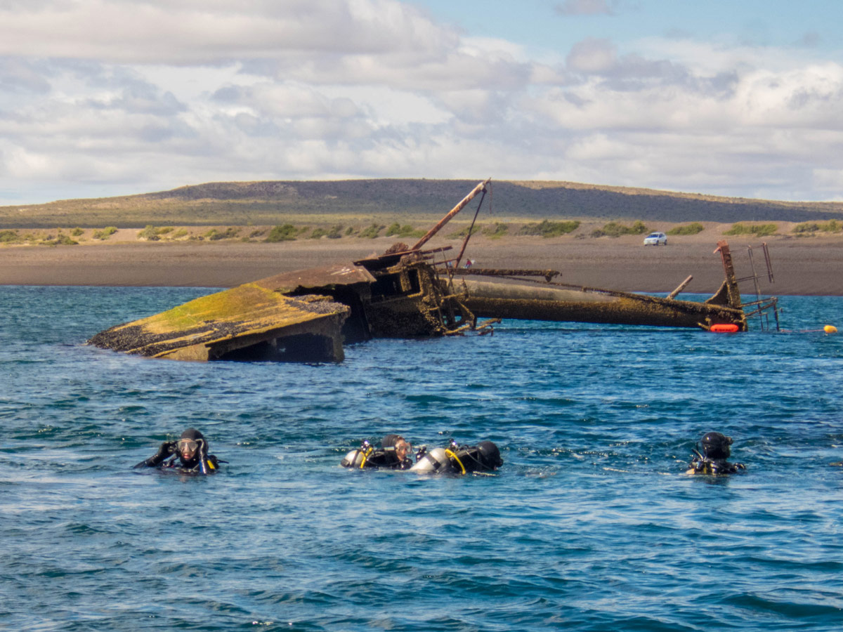 SCUBA divers explore the shipwreck Miralles near Punta Loma Argentina