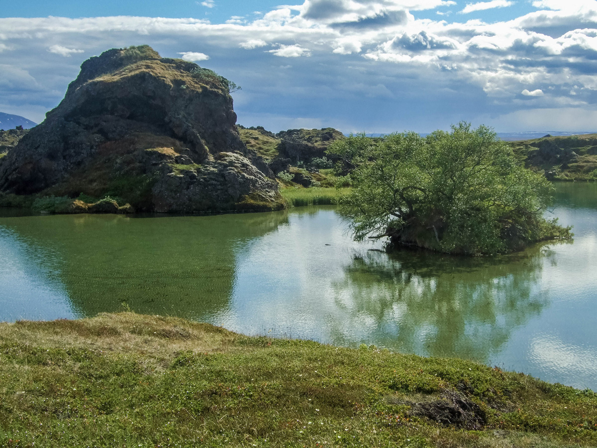 The lush green surroundings of Lake Myvatn in Iceland