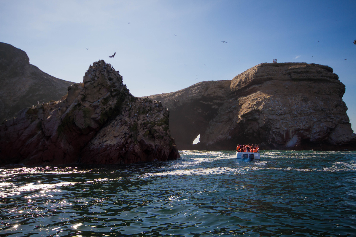 Stone arches and birds of the Paracas Nature Reserve in Peru