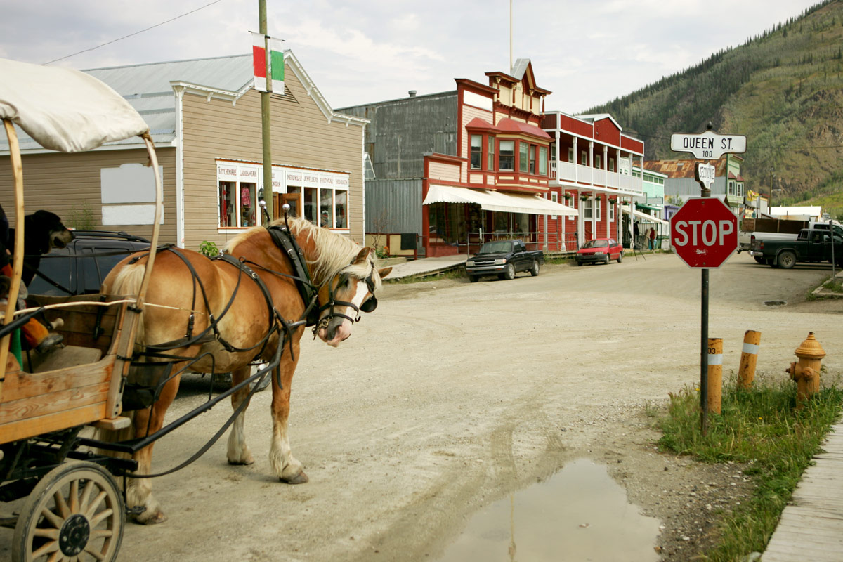 A horse and buggy walk through the heritage center of Dawson City Yukon one of the most amazing places in Canada