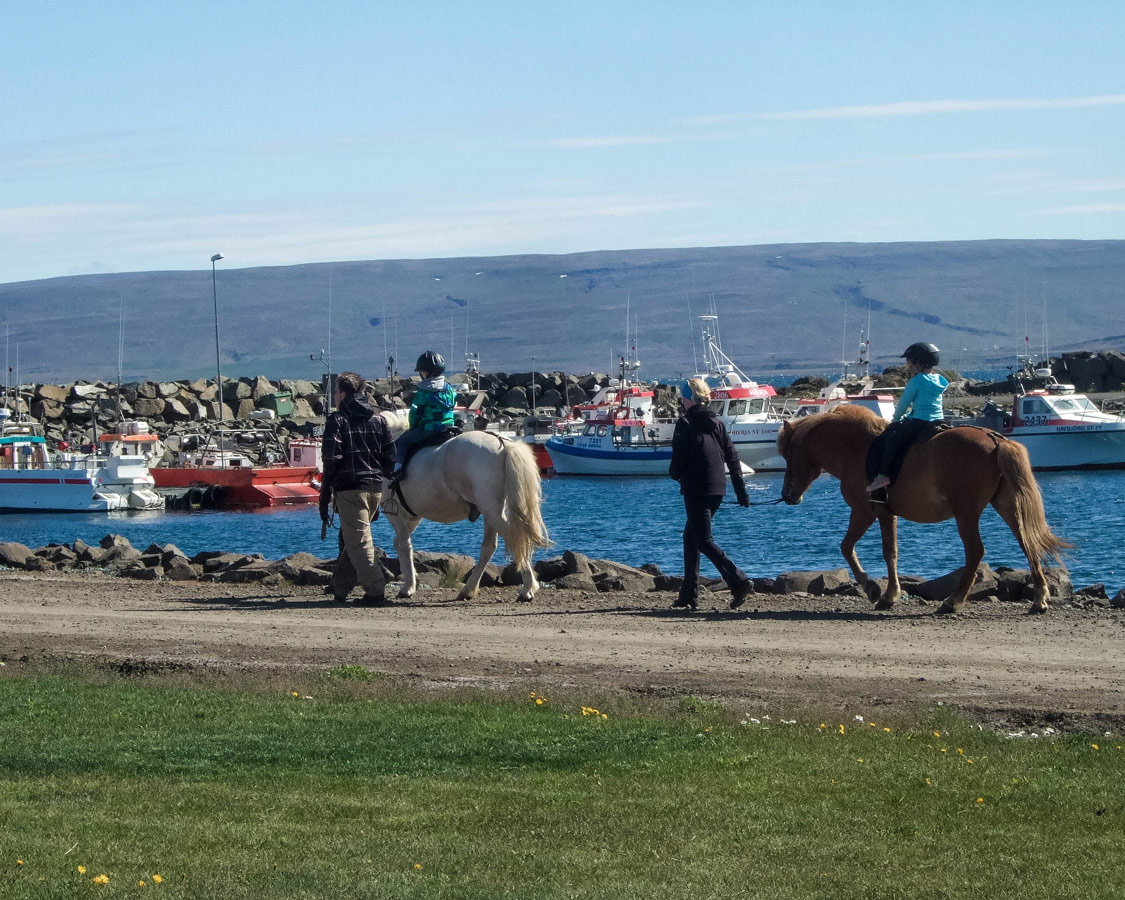 Children ride Icelandic horses at a festival in Holmavik, Iceland
