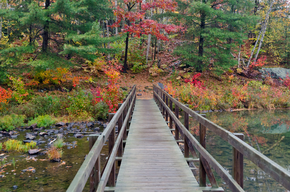 A bridge into the fall foliage of Spruce Woods Provincial Park in Manitoba. One of the most amazing places in Canada
