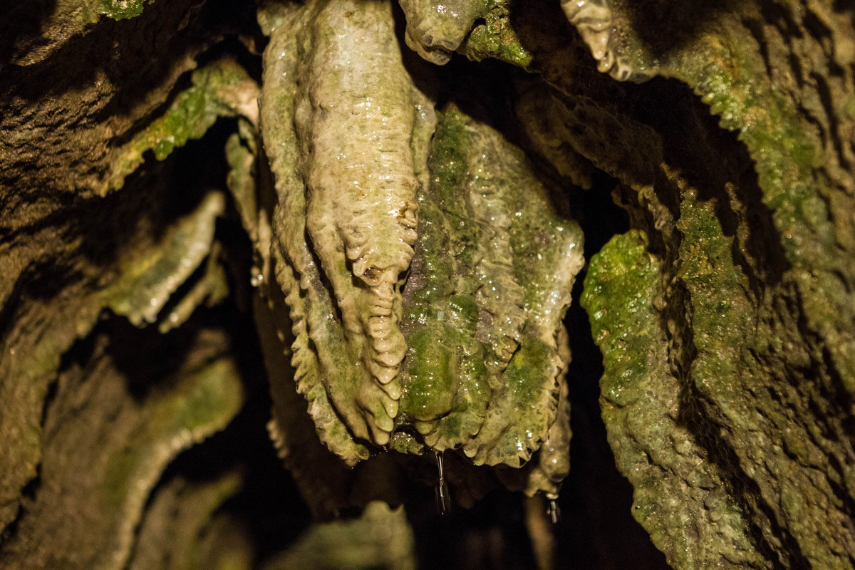 Mossy stalactites in Bonnechere Caves in Eganville Ontario