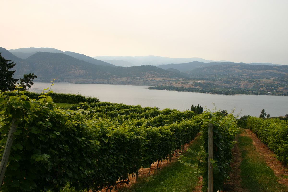 The orchards and wineries of the Okanagan Valley in British Columbia one of the most amazing places in Canada