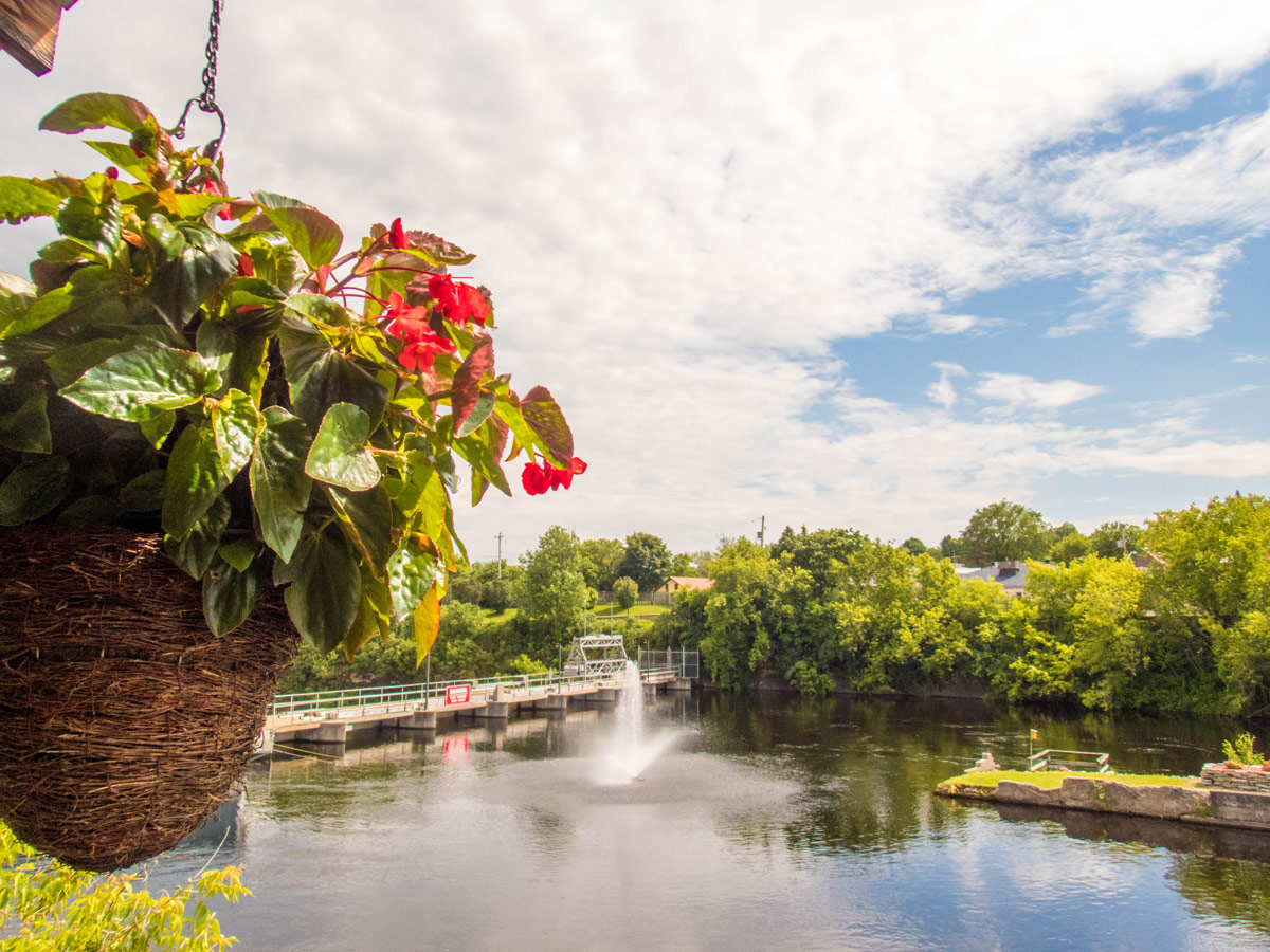 A hanging flowerpot in the foreground with a clean river and dam surrounded by trees while looking out from the back patio of the Rio Tap and Grill in Eganville Ontario