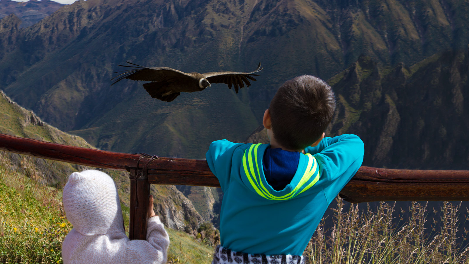 Two young Wandering Wagars boys watch an Andean Condor fly by from a viewpoint in Colca Canyon with kids in Peru