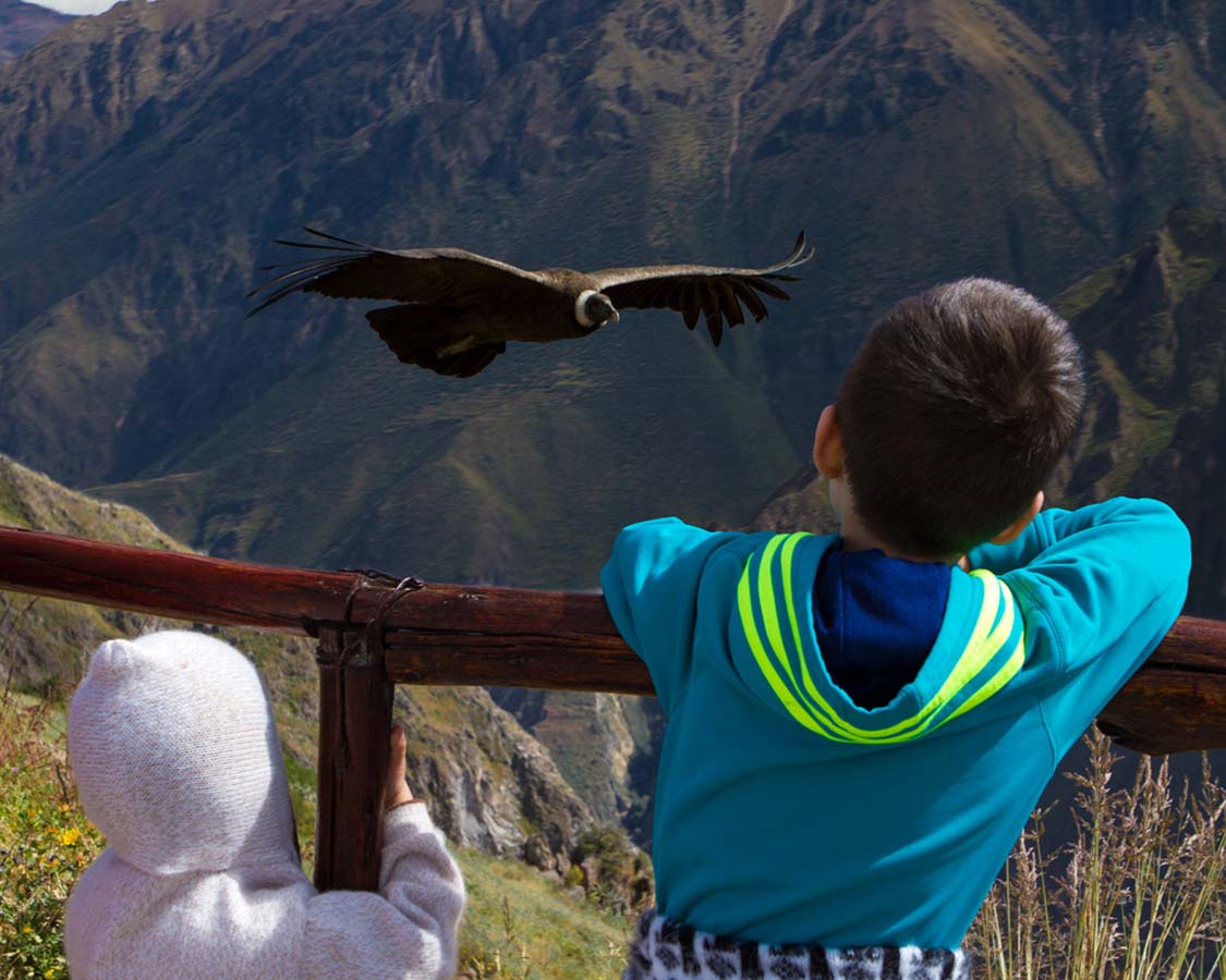 Two boys watching condors in Colca Canyon Peru