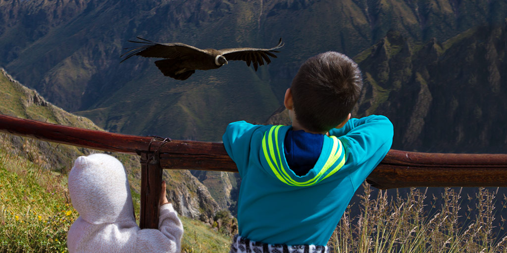 Two young Wandering Wagars boys watch an Andean Condor fly by from a viewpoint in Colca Canyon with kids in Peru