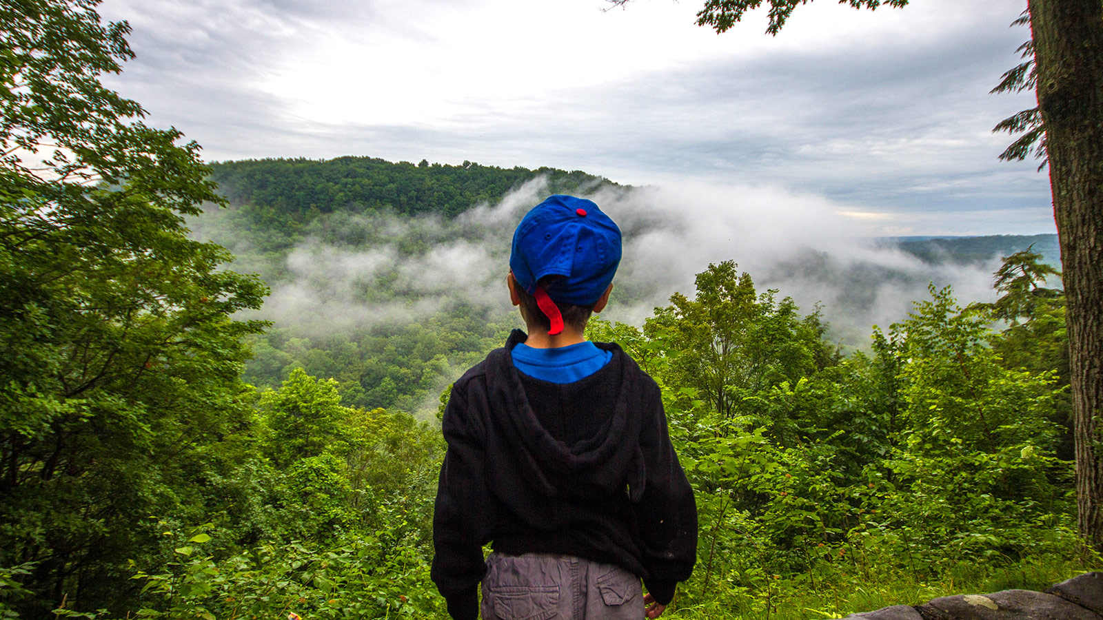 Boy looking over the gorge at Letchworth State Park