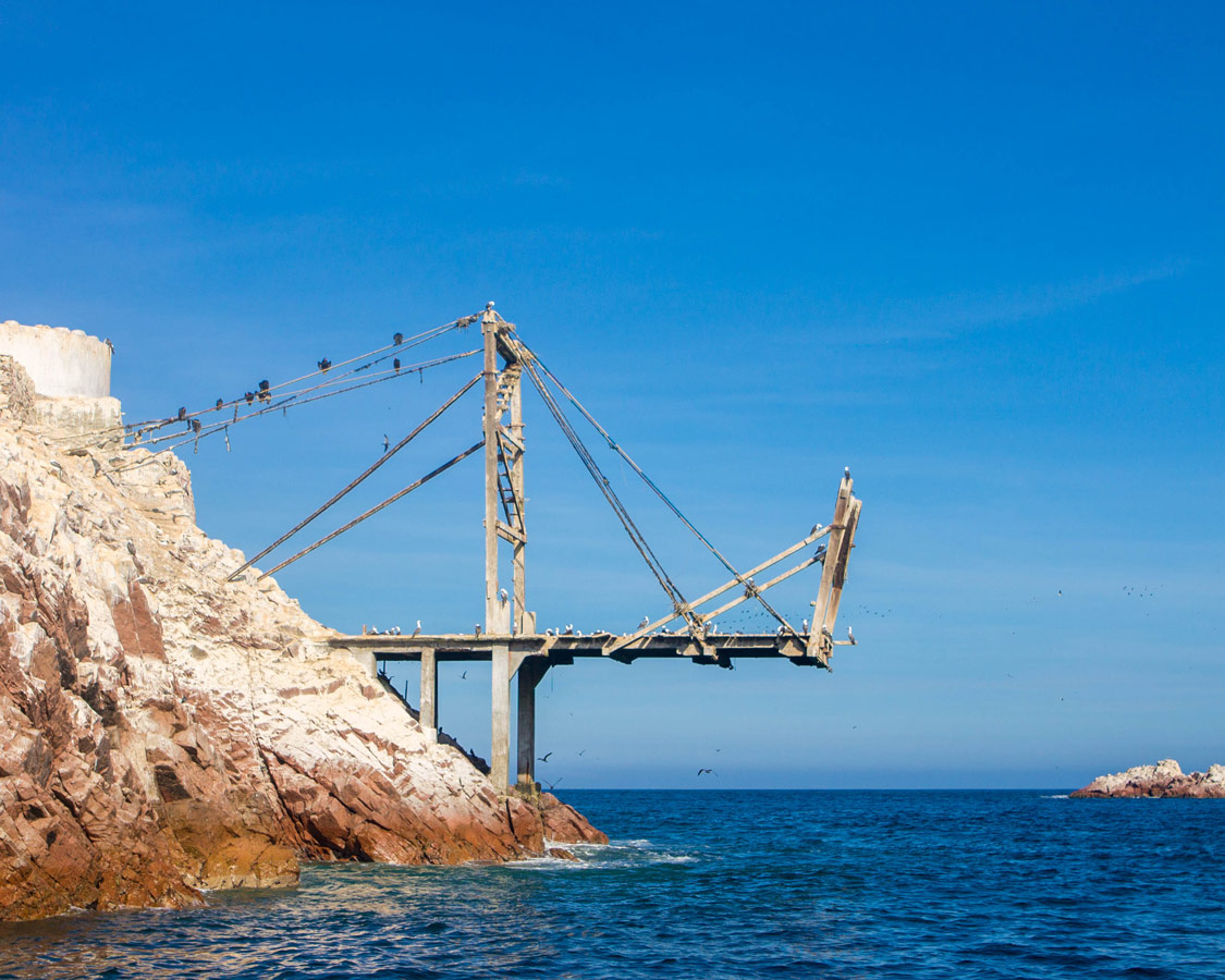 Birds line the docking port in the Ballestas Islands near Paracas Peru