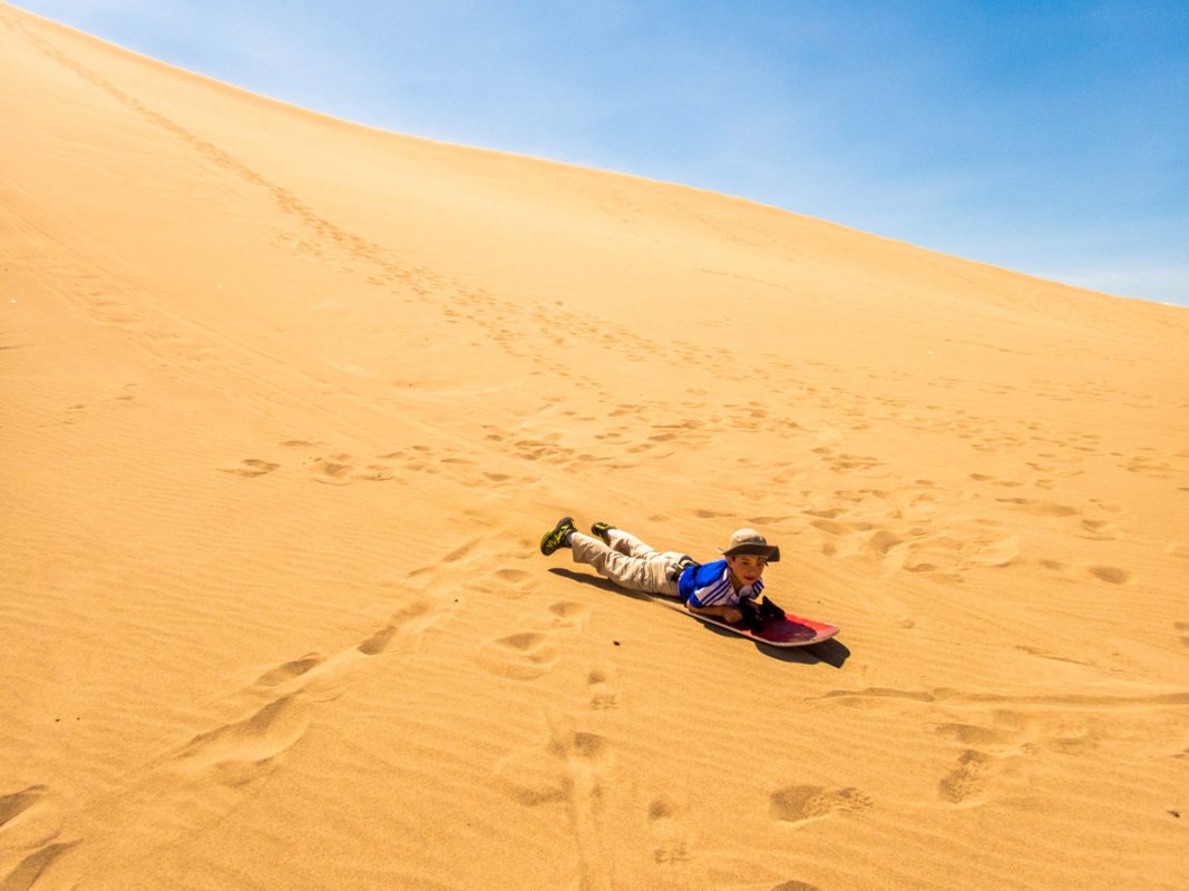 Paracas National Reserve in Paracas Peru: What To See And What To Do ...