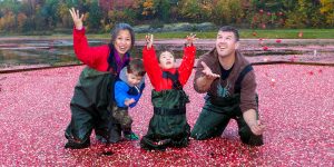 vieren bij Johsons Cranberry Marsh tijdens het Bala Cranberry Festival