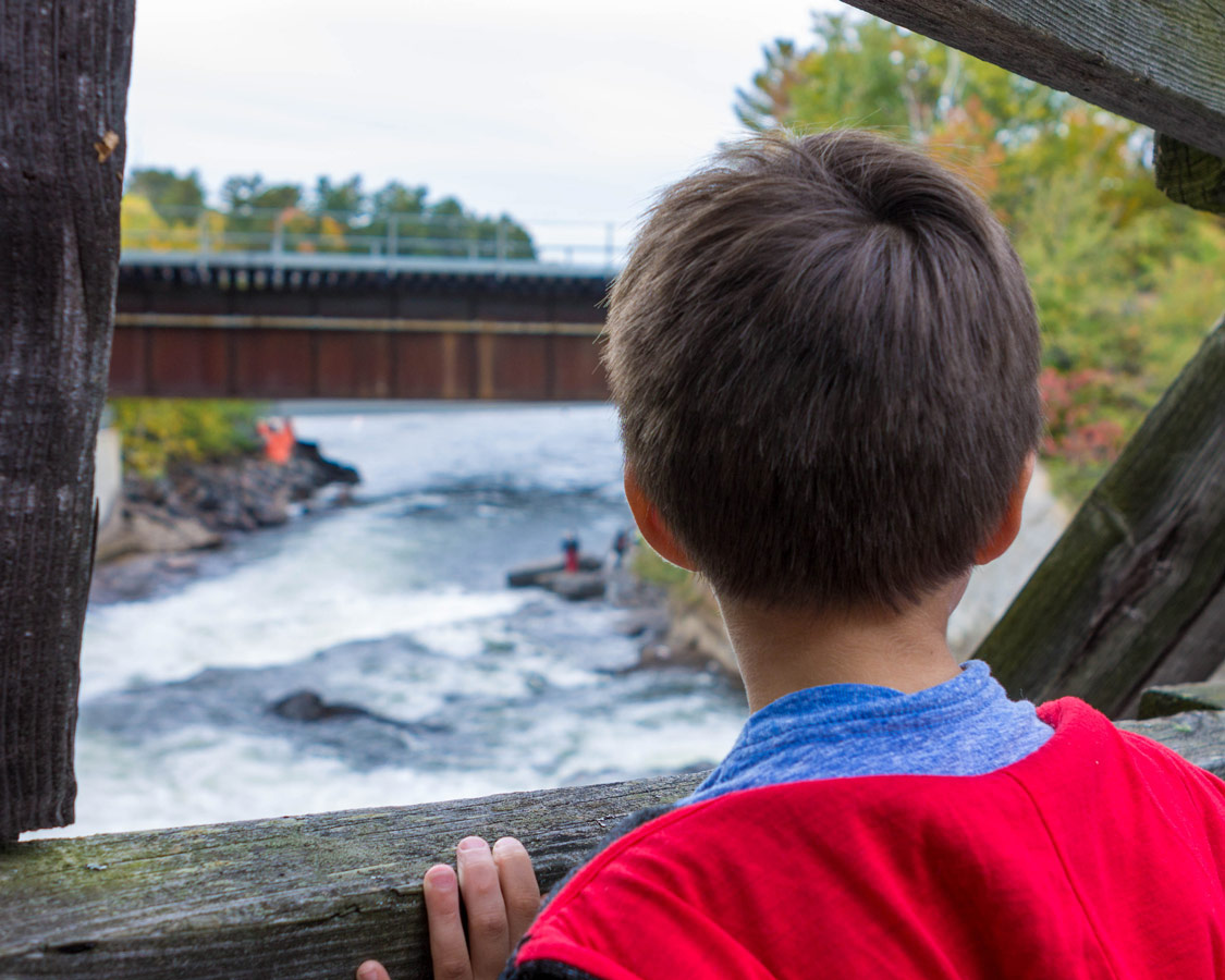 Looking out over Bala Falls during the Bala Cranberry Festival