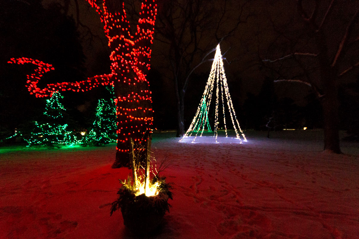 Niagara Falls Festival of Lights is one of the ways to spend winter in Niagara Falls, Ontario