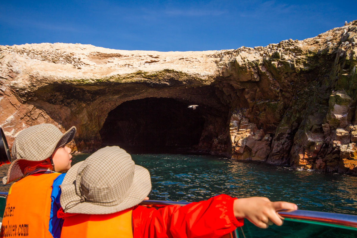 Watching the birds and sea lions at the Paracas Nature Reserve in Peru with kids