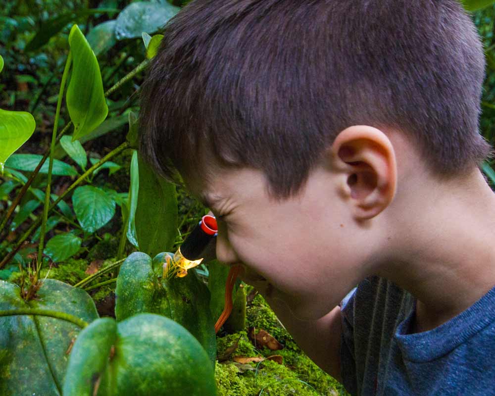 A young boy examines a tiny orchid with a microscope at InkaTerra Machu Picchu Pueblo hotel in Peru