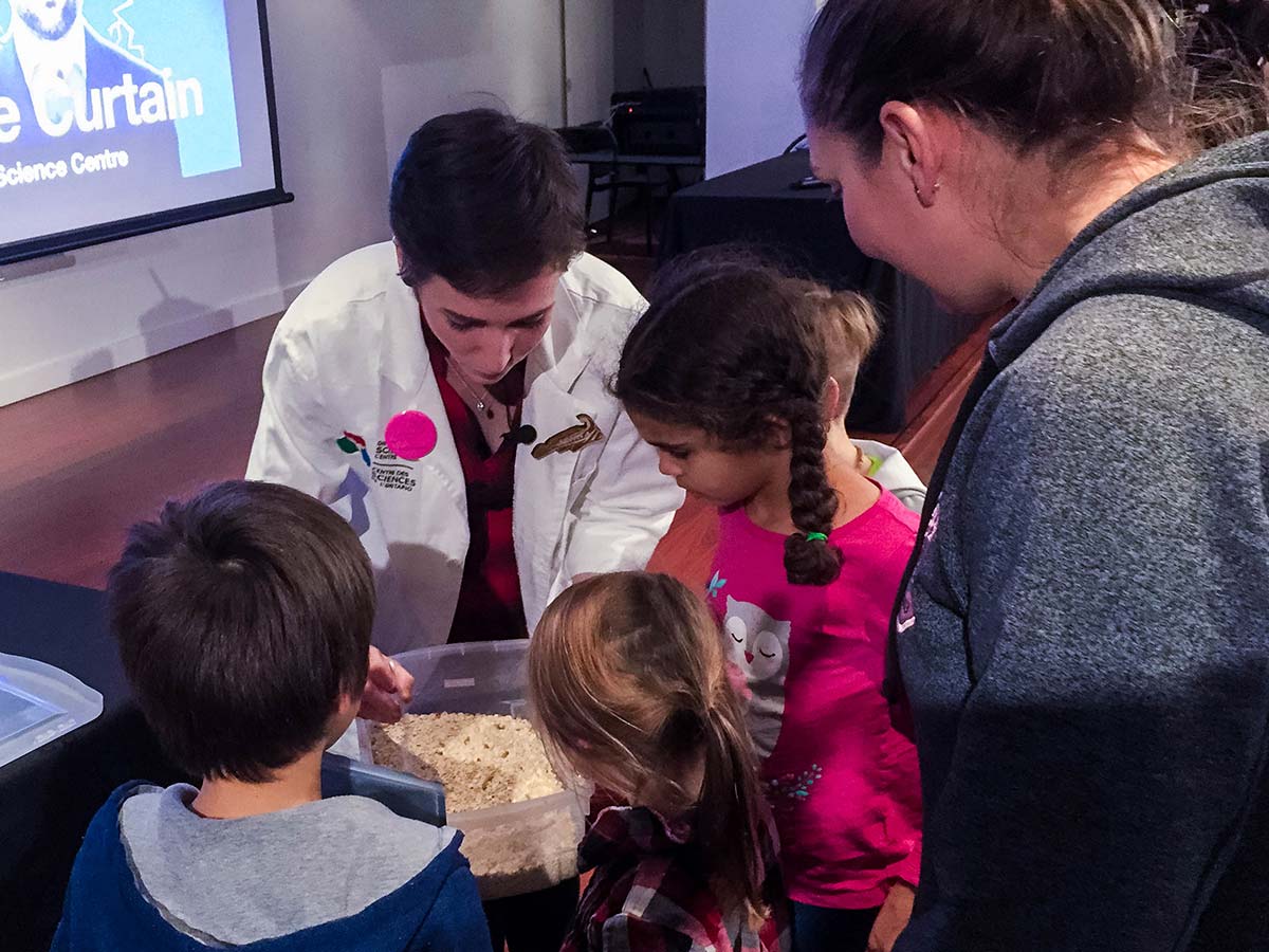 Dining on mealworms and crickets with the Ontario Science Centre at Brain Candy Live