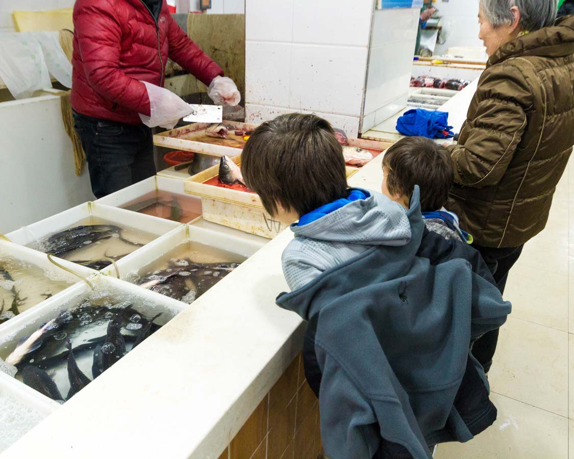 Boys explore a Chinese wet market on a Shanghai China food tour