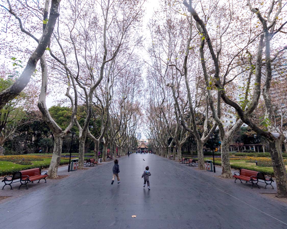 Boys run between the trees of Xiangyang Park on a Shanghai China food tour