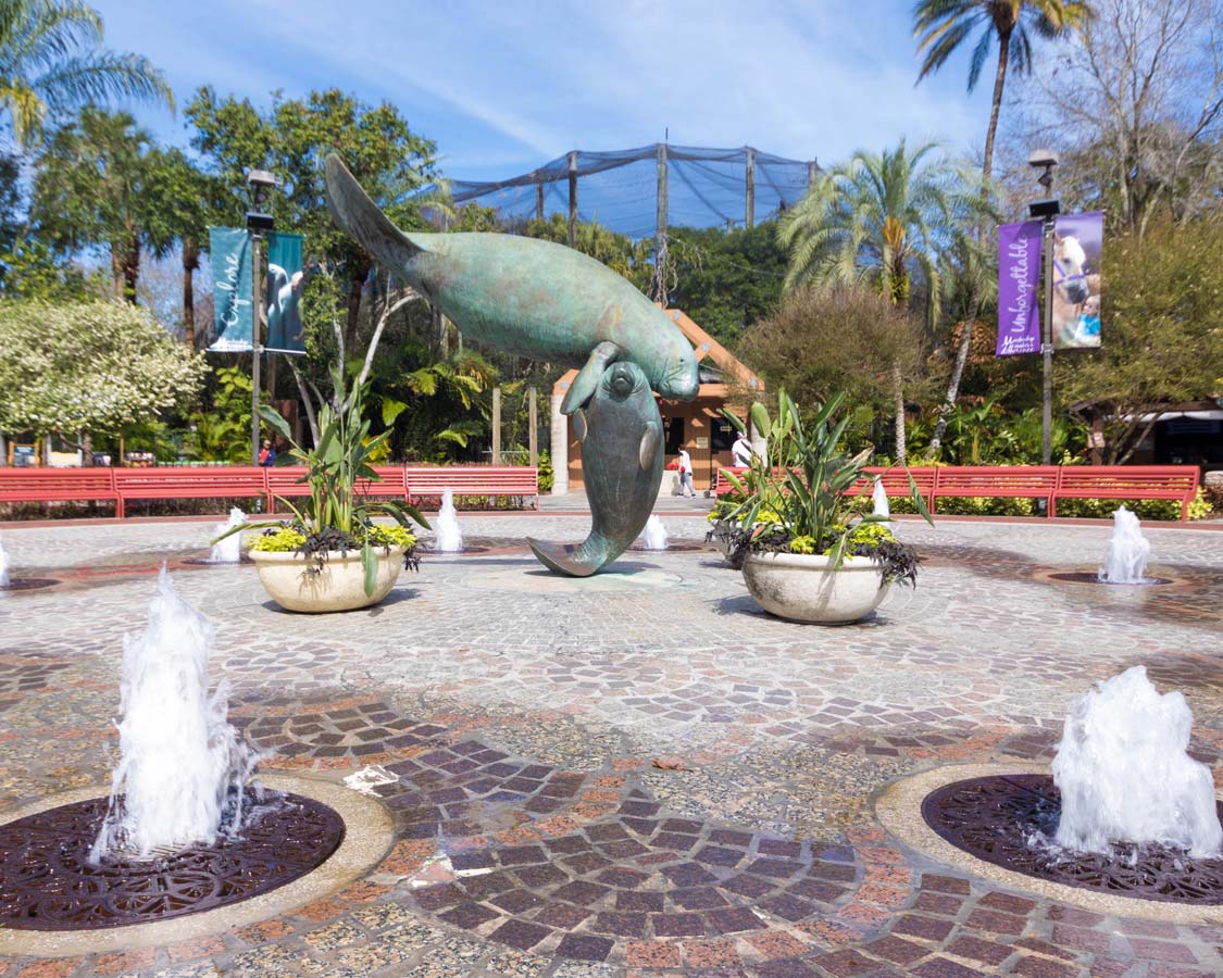 Manatee statue at ZooTampa in Tampa Bay Florida