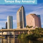 Tampa Bay is one of the most family-friendly cities in Florida. And with amazing wildlife, beautiful beaches, fun theme parks and so much more, finding things to do in Tampa with kids is easy! From Busch Gardens to Manatee viewing, check out some of our favorite things to do in Tampa Bay!
