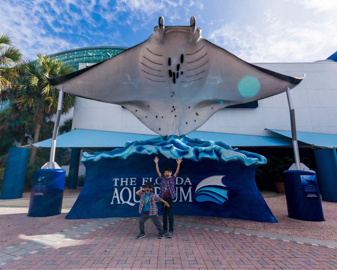 Two boys celebrate outside the Florida Aquarium in Tampa Florida