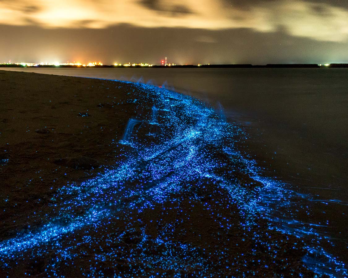 Bio luminescent bay in Maldives