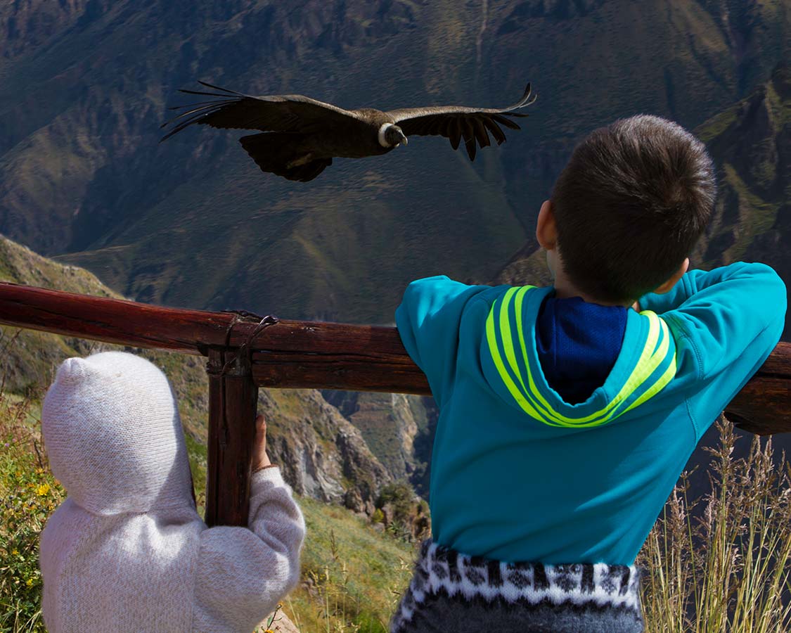 Two boys watching condors in Colca Canyon Peru