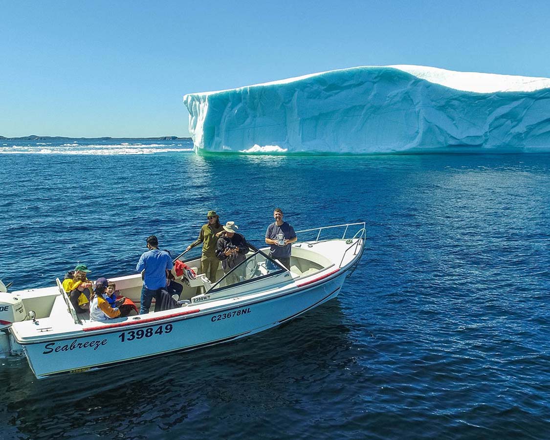 boat tours twillingate newfoundland