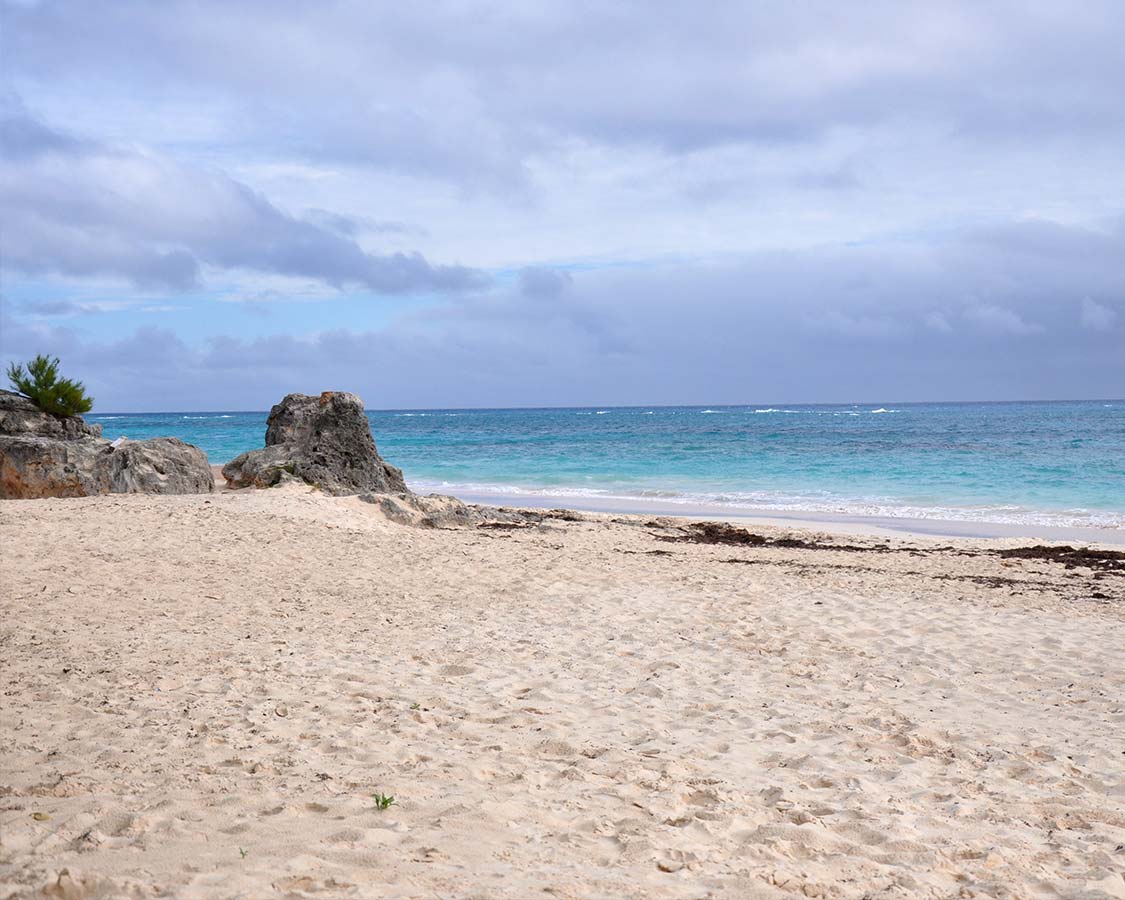 Best Bermuda Beach Elbow Beach Bermuda Rock Formations