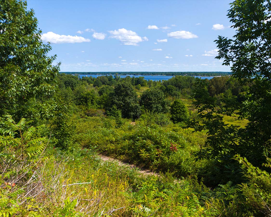 Georgian Bay Islands National Park Rockview Trail View